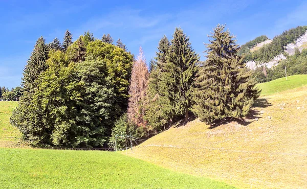 Alpes Montagnes France Par Une Journée Ensoleillée — Photo