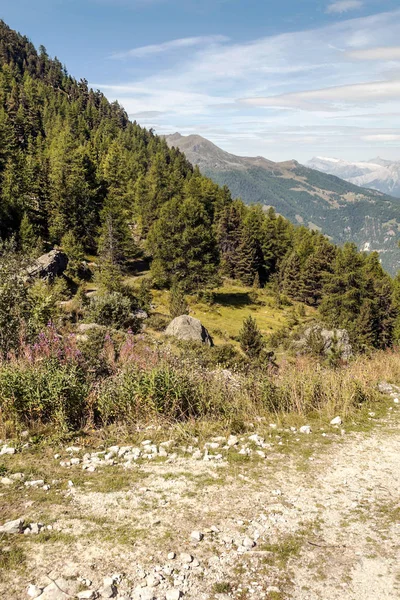 Montañas Los Alpes Suizos Valle Saint Luc Día Soleado — Foto de Stock