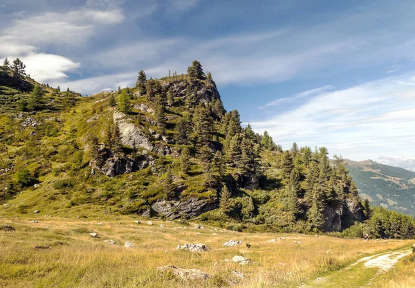 Güneşli bir günde Saint Luc Vadisi'nde İsviçre Alpleri dağlarında.