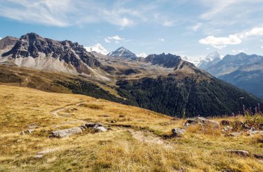 Güneşli bir günde Saint Luc Vadisi'nde İsviçre Alpleri dağlarında.