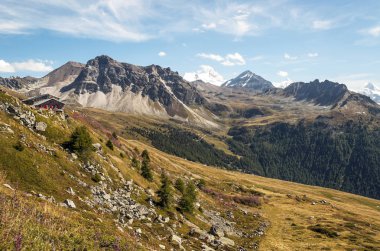 Güneşli bir günde Saint Luc Vadisi'nde İsviçre Alpleri dağlarında.