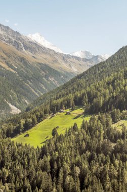 Güneşli bir günde Saint Luc Vadisi'nde İsviçre Alpleri çayırlığında ahşap evler.