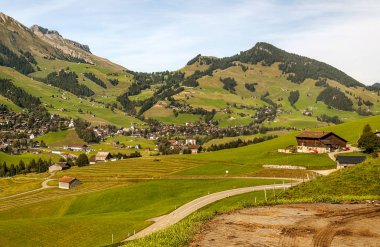 Ahşap kulübe ve güneşli bir çayır ile İsviçre Alpleri dağlarında.