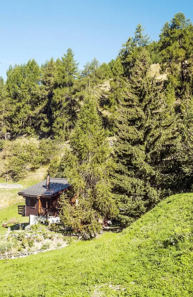 화창한 세인트 밸리에서 스위스 알프스의 초원에 — 스톡 사진