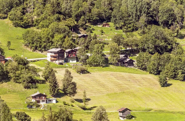 화창한 세인트 밸리에서 스위스 알프스의 초원에 — 스톡 사진