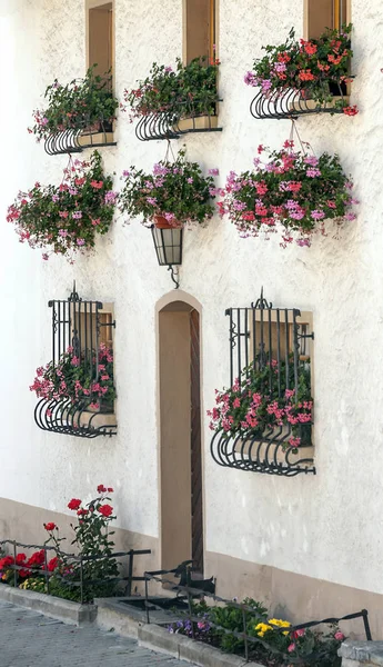 Façade Des Maisons Avec Leurs Fenêtres Décorées Avec Des Pots — Photo