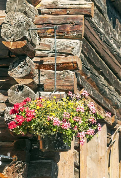 Güneşli bir günde Saint Luc Vadisi'nde İsviçre Alpleri çayırlığında ahşap evler.