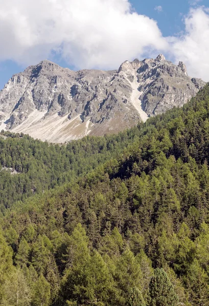 Montañas Los Alpes Suizos Valle Saint Luc Día Soleado — Foto de Stock