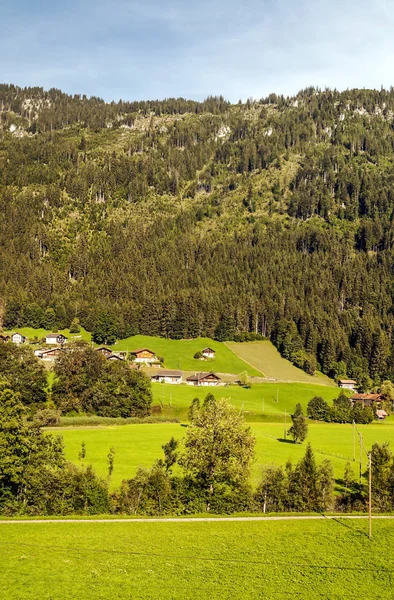 木製の小屋と晴れた日に牧草地スイスのアルプスの山々 — ストック写真