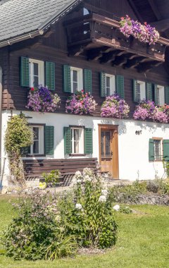 Köy Gosau Avusturya Alpleri güneşli bir günde, ahşap evleriyle.