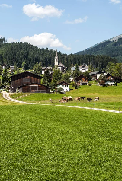 Obci Gosau Typickými Dřevěnými Domy Rakouských Alpách Slunečného Dne — Stock fotografie