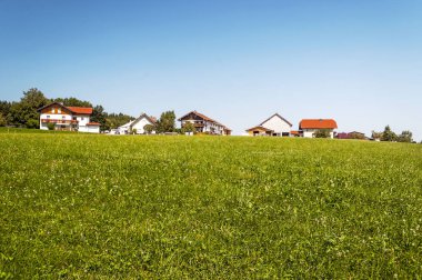 Köy Gosau Avusturya Alpleri güneşli bir günde, ahşap evleriyle.
