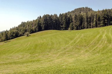 Güneşli bir günde Avusturya Alpleri'nde dağlar