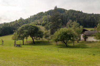 Bulutlu bir günde Avusturya Alpleri'nde kırsal köy