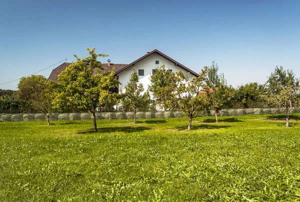 Pueblo Gosau Con Sus Casas Madera Los Alpes Austria Día — Foto de Stock