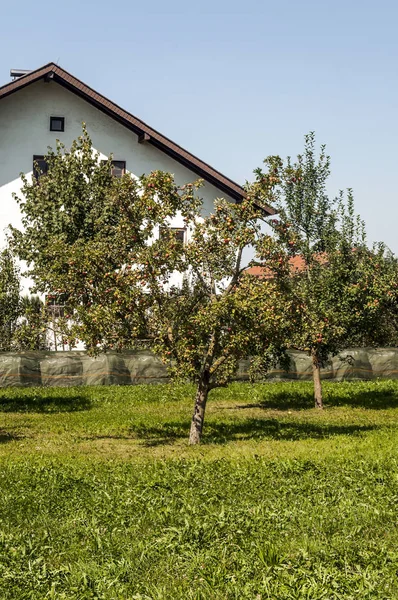 Χωριό Της Gosau Ξύλινα Σπίτια Στη Άλπεις Της Αυστρίας Μια — Φωτογραφία Αρχείου