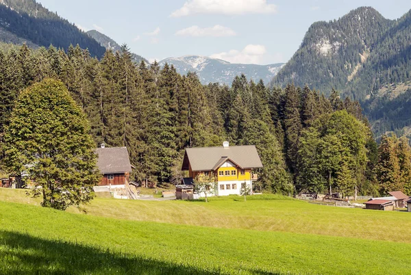 Miejscowości Gosau Drewnianymi Domami Austriackich Alpach Słoneczny Dzień — Zdjęcie stockowe