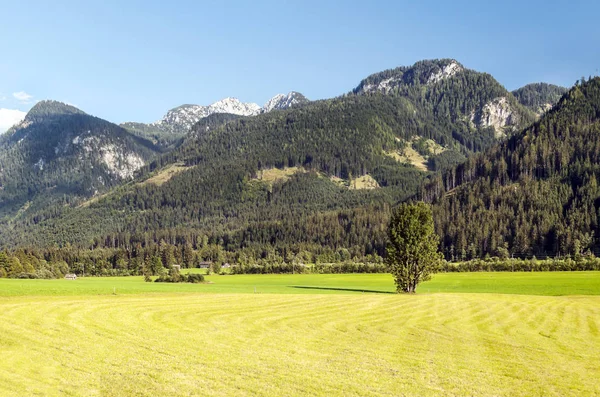 Góry Austriackich Alpach Słoneczny Dzień — Zdjęcie stockowe