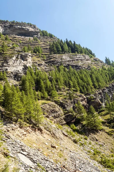 Güneşli bir günde Avusturya Alpleri'nde dağlar