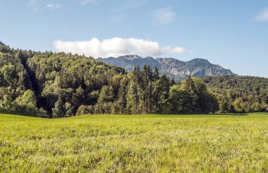 Stein bir Rhein İsviçre İsviçre Alpleri'nde dağlar güneşli bir günde.