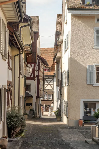 Stein Rhein Ist Eine Gemeinde Und Historische Schweizer Stadt Des — Stockfoto