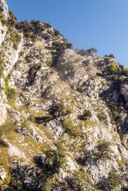 Avrupa'nın doruklarına İspanya Asturias il güneşli bir günde'kuzeyinde dağlarda.