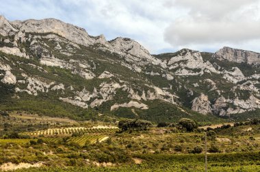 Güneşli bir günde İspanya La Rioja içinde bağlar.