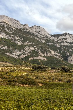 Güneşli bir günde İspanya La Rioja içinde bağlar.