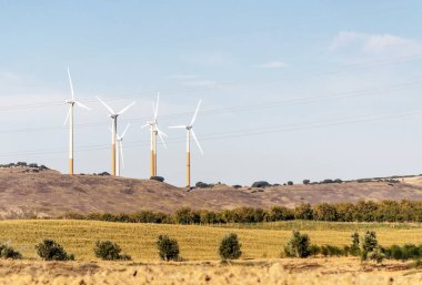 İspanya Kuzey güneşli bir tahıl ekili alanlar.