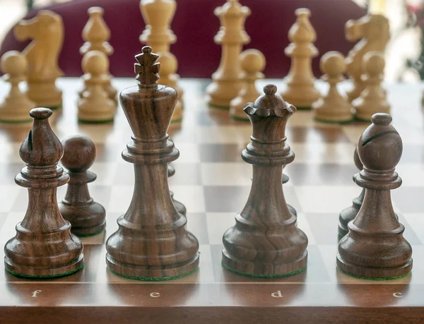 囲まれたチェスの駒が背景をぼかし — ストック写真