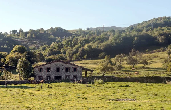 Avrupa Nın Doruklarına Spanya Asturias Güneşli Bir Günde Kuzeyinde Dağlarda — Stok fotoğraf