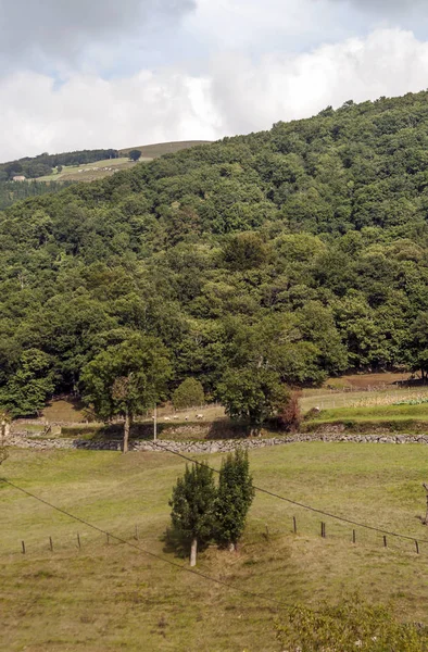 Hory Vrcholy Evropy Severu Španělska Provincii Asturias Slunečného Dne — Stock fotografie