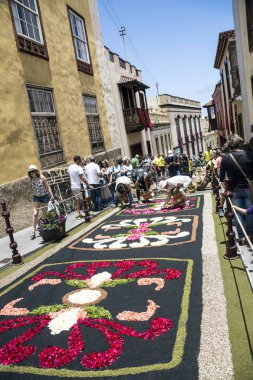 La Orotava Kanarya Adası İspanya - Haziran 2016. Corpus Christi günde çiçek halı üzerinde kasabanın insanları.