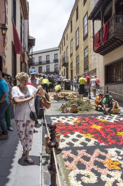 La Orotava Kanarya Adası İspanya - Haziran 2016. Corpus Christi günde çiçek halı üzerinde kasabanın insanları.