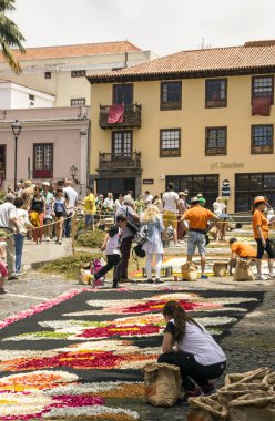 La Orotava Kanarya Adası İspanya - Haziran 2016. Corpus Christi günde çiçek halı üzerinde kasabanın insanları.