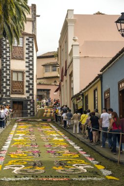 La Orotava Kanarya Adası İspanya - Haziran 2016. Corpus Christi günde çiçek halı üzerinde kasabanın insanları.