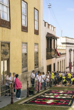 La Orotava Kanarya Adası İspanya - Haziran 2016. Corpus Christi günde çiçek halı üzerinde kasabanın insanları.