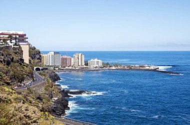 Puerto De La Cruz, Tenerife, İspanya - Haziran 2014. Anonim turistler bir palmiye ağacı içinde yürüyüş Puerto de la Cruz güneşli bir günde mesire