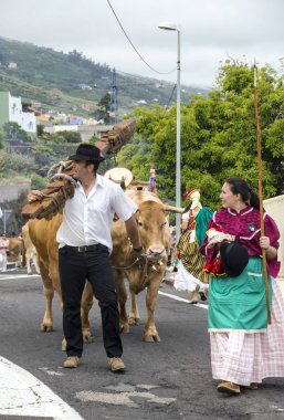 La Orotava, Tenerife, İspanya-Haziran 2016. San Isidro Labrador, La Orotava hac. Festivalin Ulusal Turizm ilgi bildirilir ve Corpus Christi sonra kutlanmaktadır. On yedinci yüzyılda kökenli Hac, thr çalışır