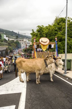 La Orotava, Tenerife, İspanya-Haziran 2016. San Isidro Labrador, La Orotava hac. Festivalin Ulusal Turizm ilgi bildirilir ve Corpus Christi sonra kutlanmaktadır. On yedinci yüzyılda kökenli Hac, thr çalışır