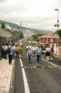 La Orotava, Tenerife, İspanya-Haziran 2016. San Isidro Labrador, La Orotava hac. Festivalin Ulusal Turizm ilgi bildirilir ve Corpus Christi sonra kutlanmaktadır. On yedinci yüzyılda kökenli Hac, thr çalışır