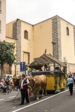 La Orotava, Tenerife, İspanya-Haziran 2016. San Isidro Labrador, La Orotava hac. Festivalin Ulusal Turizm ilgi bildirilir ve Corpus Christi sonra kutlanmaktadır. On yedinci yüzyılda kökenli Hac, thr çalışır