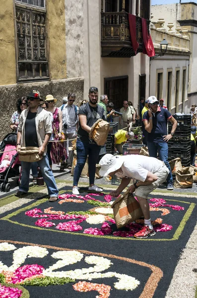 Orotava Kanarya Adası Spanya Haziran 2016 Corpus Christi Günde Çiçek — Stok fotoğraf