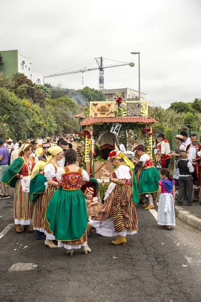 Orotava Tenerife España Junio 2016 Peregrinación San Isidro Labrador Orotava — Foto de Stock