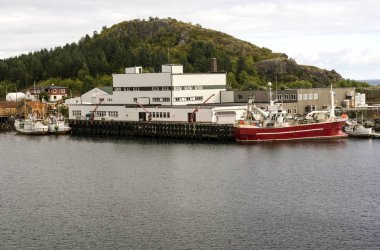 Nusfjord Lofoten Adalar Kuzey Norveç'te sakin balıkçı köyü var. Ne zaman yumurtlama için morina geleceğini elli yıl önce iş çiçeklenme yapıldı.. 