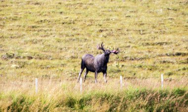 Lofoten, Norveç dağlarında bulutlu bir günde