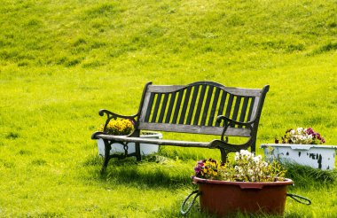 Yeşil çim çevrili sandalye