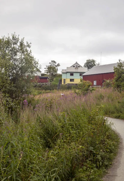 Nusfjord Lofoten Adalar Kuzey Norveç'te sakin balıkçı köyü var. Ne zaman yumurtlama için morina geleceğini elli yıl önce iş çiçeklenme yapıldı..