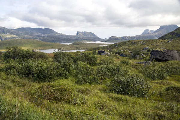 Bergen Lofoten Noorwegen Een Bewolkte Dag — Stockfoto