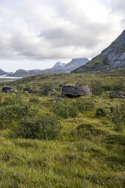 Hory Regionu Lofoty Norsko Zamračený Den — Stock fotografie